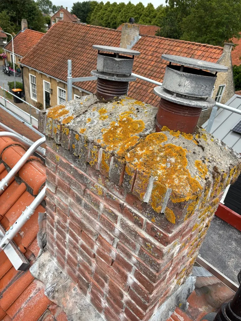 Schoorsteen voor reiniging: afdekvloer en steen bedekt met geel korstmos